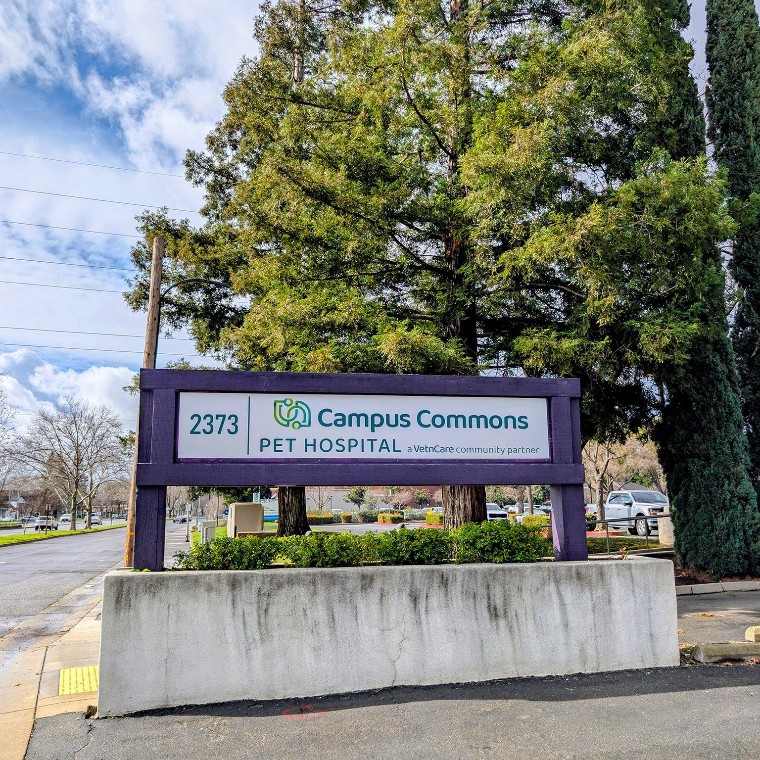closeup shot of the front entrance sign of Campus Commons Pet Hospital in Sacramento CA