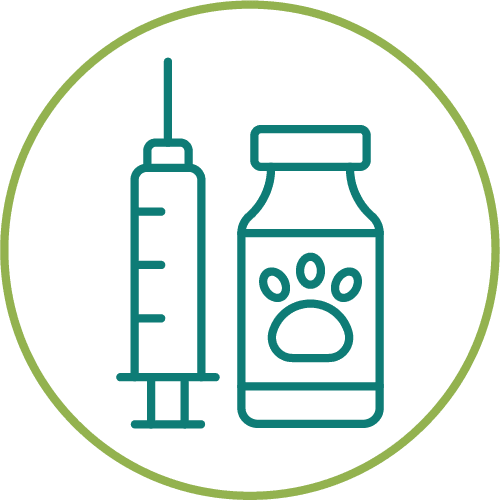 dark green drawing of dog medication in a light green circle